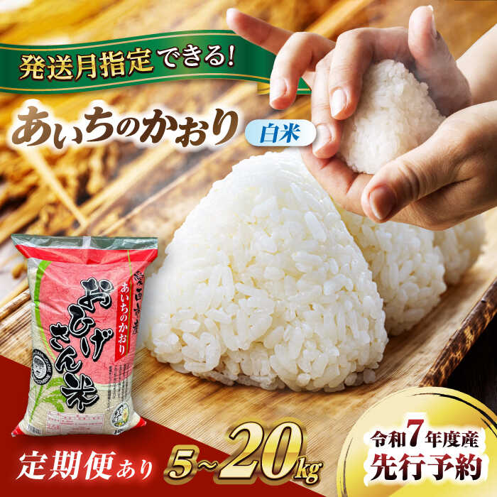 【ふるさと納税】＼選べる容量・回数／ 令和7年産 あいちのかおり 5kg 10kg 20kg 選べる 選べる発送月 選べる回数 1回 3回 ブランド米 銘柄米 国産 精米 白米 米 お米 こめ コメ ご飯 ごはん 小分け 定期便 先行予約 愛西市/脇野コンバイン[AECP001]