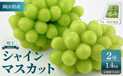 
                  2026年予約受付中 シャインマスカット 晴王 2房 約1.4kg 4回 定期便  7月・8月・9月・10月に1回ずつお届け 【シャインマスカット マスカット ぶどう 葡萄 岡山県産   種無し 皮ごと食べる みずみずしい フレッシュ 温室栽培 晴れの国おかやま 果物大国 彩美菜果 岡山県 岡山市 おすすめ 人気 】
                