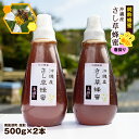 【ふるさと納税】純粋蜂蜜　沖縄産　さし草蜂蜜　春採り　500g×2本　南風原町採取