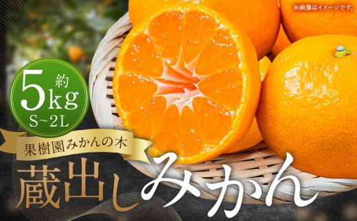 N24x1 果樹園みかんの木の蔵出しみかん約5kg みかん ミカン 蜜柑 たらみかん 太良みかん 温州みかん 完熟みかん 甘熟 柑橘 国産 佐賀県産 太良町 こだわり 産地直送 贈答品 詰め合わせ 極甘 蔵出し 熟成 【2027年1月下旬-3月上旬発送予定】