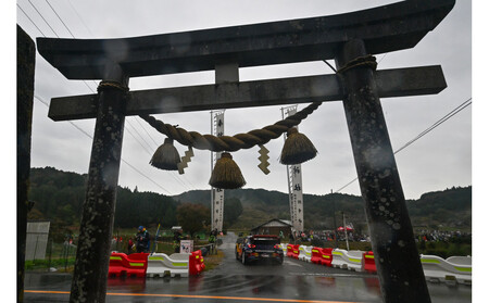 ラリージャパン【三河湖SS（三河湖観戦エリア）観戦券／大人１名（トヨタテクニカルセンター下山駐車場P&R）】5月31日（日）