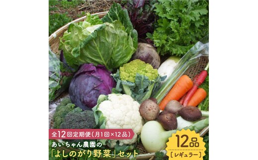 
										
										【12品 / 12回定期便】あいちゃん農園の「よしのがり野菜」セット（レギュラー） [FAA006]
									