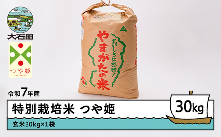 お米 米 つや姫 30kg 令和7年産 【2026年6月上旬発送】大石田町産 特別栽培米 玄米 ※沖縄・離島への配送不可 ja-tsgxa30-6f