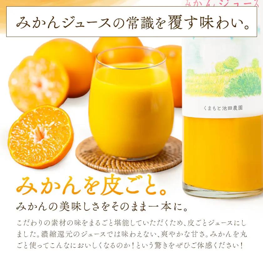 池田農園のみかんジュース 2本 1本500ml 池田農園《30日以内に出荷予定(土日祝除く)》熊本県 玉名郡 玉東町 みかんジュース みかん ミカン ジュース 自然栽培 栽培期間中農薬・肥料不使用