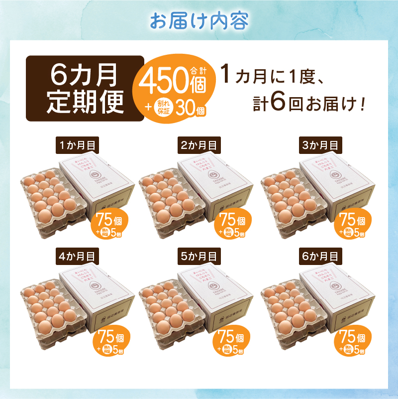 【6ヶ月定期便】”忍野の卵”旨味のピンク玉　※卵75個+割れ保証5個　計480個