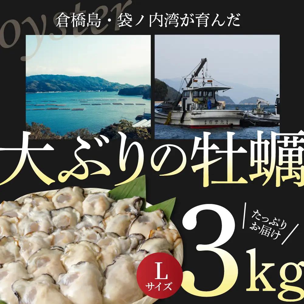 かき 3kg Lサイズ 広島県産 冷凍 かき 大粒 牡蠣