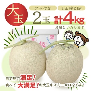 SA2893　特選 庄内産 キスミーメロン　約4kg(青肉 大玉/2玉入つる付)