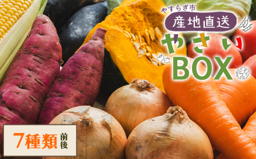 野菜 野菜セット 7種類前後 やさいＢＯＸ やすらぎ市 産地直送 - 野菜 ベジタブル おまかせ 詰め合わせ セット 季節 旬 お任せ お楽しみ ヘルシー 国産 特産品 送料無料 やすらぎ市 高知県 香南市 yr-0033