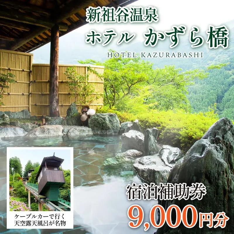 新祖谷温泉ホテルかずら橋 宿泊券 9,000円分 徳島旅行 温泉 ホテル【旅行】