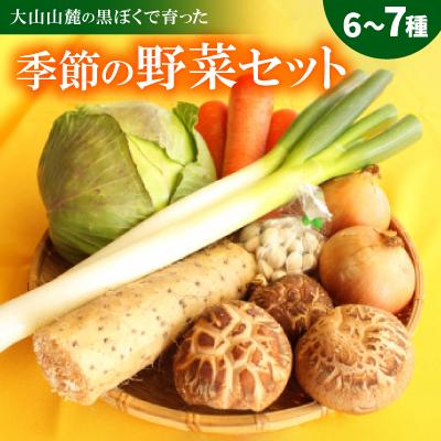 ふるさと納税 伯耆町 季節の野菜セット(6〜7種)