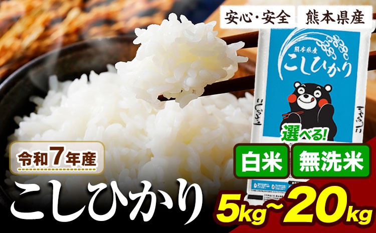 
                  令和7年産 無洗米 も選べる こしひかり 5kg 10kg 20kg も選べる《7-14日以内に出荷予定(土日祝除く)》令和7年産 熊本県産 ふるさと納税 無洗米  白米 精米 ひの 米 こめ ふるさとのうぜい コシヒカリ コメ お米 おこめ
                