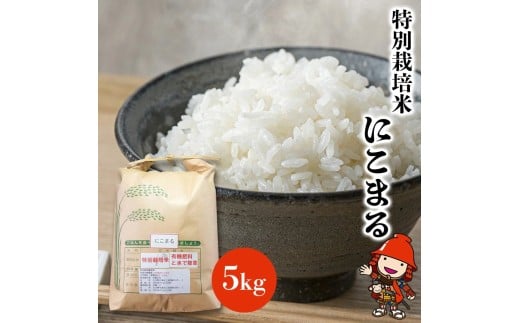 特別栽培米 にこまる 5kg | お米 米 精米 白米 おこめ こめ ご飯 ごはん 国産米 5キロ 大分県産 九州産 大分県 中津市