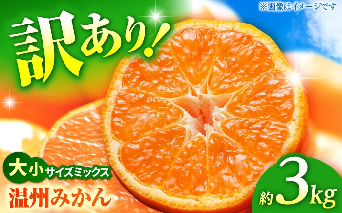 
            【先行予約】 温州みかん 訳あり サイズミックス 3S-3L 約3kg みかん 蜜柑 サイズ 不選別 家庭用 柑橘 フルーツ 果物 【日本フルーツ株式会社】 [ZFJ049]
          