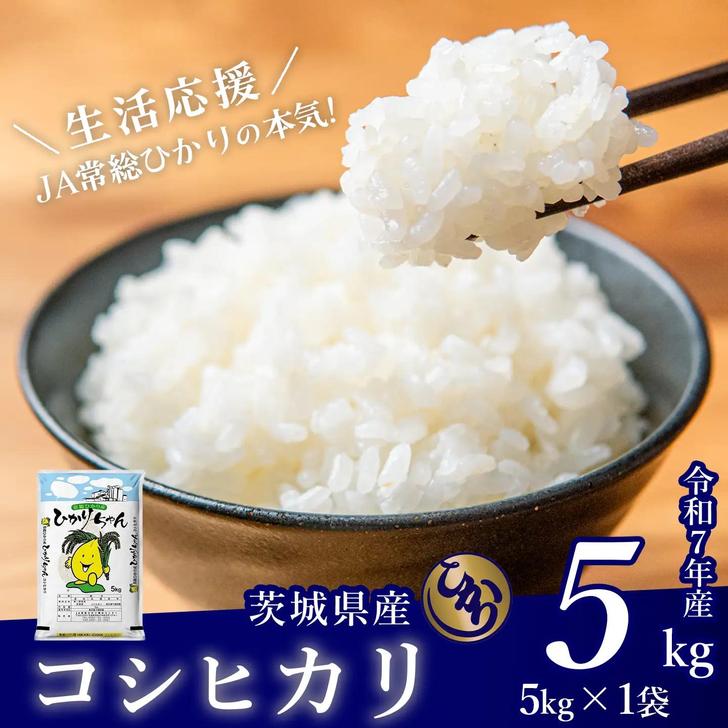 米 精米 R7年産 コシヒカリ 5kg 8月