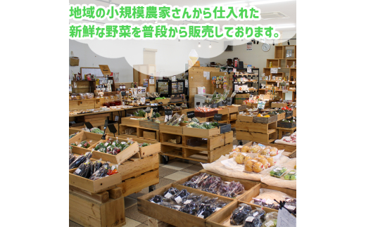【早期予約】 野菜定期便 12ヶ月 野菜 厳選 季節 旬野菜 セット 11 ～ 13 品 | 野菜 定期便 12回 12ヶ月 12か月 新鮮 採れたて 定番野菜 セット 定期便 詰め合わせ セット きゅうり なす ピーマン オクラ みょうが トマト 高知県 須崎市