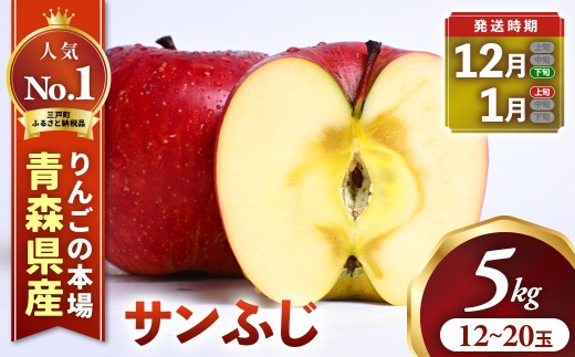 りんご【サンふじ】約5kg（12～20玉） 【2026年産・先行予約】★2026年12月下旬～1月上旬頃発送予定★ 青森県三戸町産 りんご サンふじ 2026年産 サンふじりんご 旬 甘い 青森県三戸町 AK-16-013