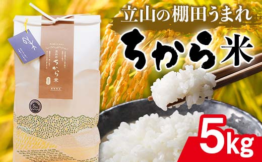 立山のちから米 コシヒカリ 5kg×1袋 計5kg たてやま [55590108] 米 こめ お米 コメ 精米 白米 こしひかり 美味しい 富山県 立山町 F6T-536