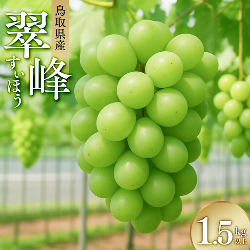 翠峰（すいほう）1.5kg以上　※2026年9月中旬～下旬頃に順次発送予定　※北海道・沖縄・離島への発送不可   | ぶどう ぶどう 葡萄