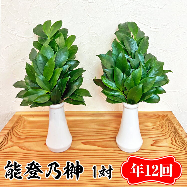 【ふるさと納税】【能登半島地震復興支援】【定期便】能登乃榊 1対 年12回（1年間定期配送）※着日指定不可