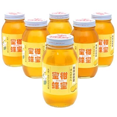 ふるさと納税 紀の川市 【2025年度新蜜】蜜柑蜂蜜 1200g×6本