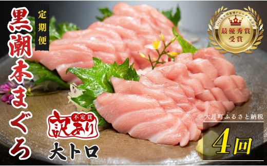 訳あり 不定貫 定期便 4回 国産 養殖本マグロ 大トロ 毎回120g×4回 黒潮本まぐろ 全国養殖クロマグロ品評会 最優秀賞受賞 4ヶ月 4か月 柵 刺身用 本マグロ クロマグロ 本鮪 まぐろ 鮪 お刺身 さしみ トロ 海鮮丼 漬け丼 手巻き寿司 鉄火丼 まぐろ丼 小分け 個包装 真空パック 冷凍 不揃い 家庭用 海鮮 年末年始 高知県 大月町 4万円