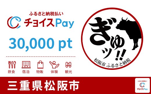 
            松阪市チョイスPay 30,000pt【会員限定のお礼の品】
          