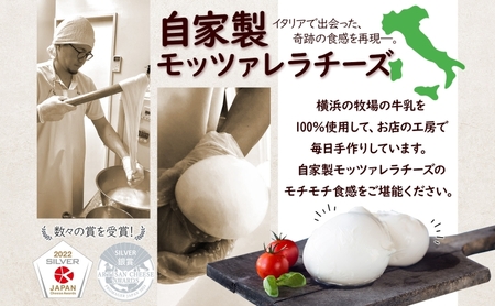 チーズ 12ヶ月 定期便 詰め合わせ 各2個 フレッシュ チーズ