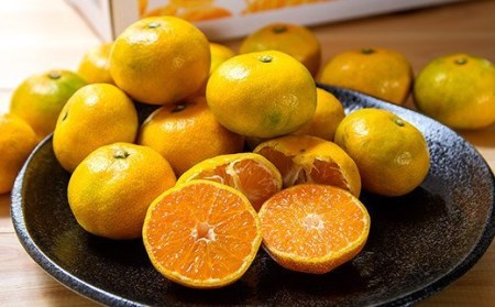 【先行予約】極早生みかん「南国の陽蜜」５kg 宮崎県西都産＜1-220＞