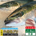 【ふるさと納税】【11/1〜1/15お届け 年末年始用】天然 寒ブリ（一本丸ものサイズ4キロ台の半身ブロック） 《壱岐市》【壱岐島　玄海屋】[JBS018] ぶり 寒ぶり ブリ 魚 刺身 しゃぶしゃぶ 59000 59000円 のし プレゼント ギフト 冷蔵配送