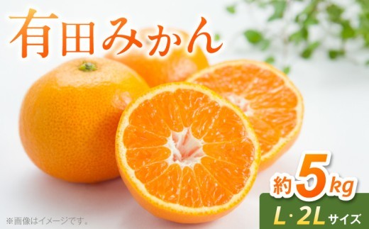 
                  【2026年先行予約】 有田みかん 約 5kg L 2Lサイズ 混合 段々畑 太陽の恵み 和歌山県産 みかん 柑橘 フルーツ 果物 デザート お取り寄せ グルメ まとめ買い用 和歌山県 湯浅町 送料無料 _BF6070
                