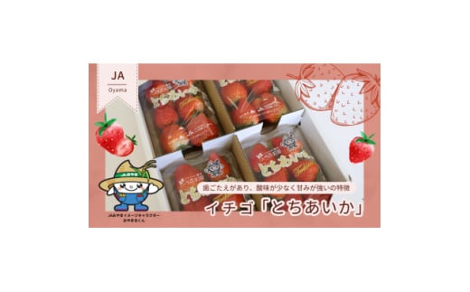 ＜いちご王国の逸品＞栃木県産「とちあいか」260g×4p【1592862】