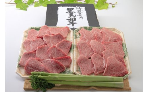 【AB126】長崎和牛 モモ 焼肉用 500g