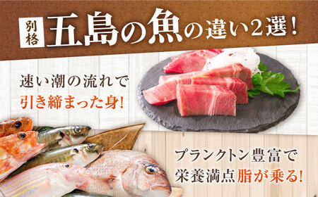 【全3回定期便】おまかせ旬魚のゴトポキ5パック(5食)セット 五島市/金沢鮮魚[PEP026]