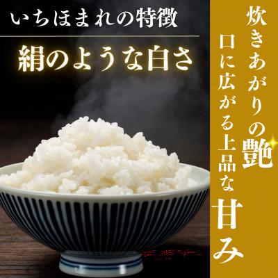 ふるさと納税 小浜市 【毎月定期便】いちほまれ白米10kg全3回 |  | 02