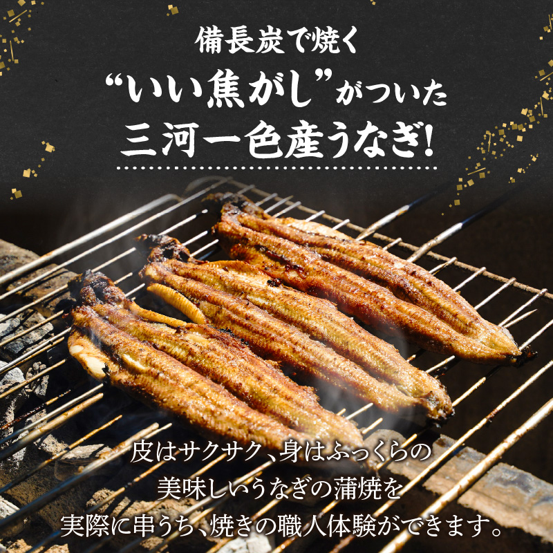 うなぎ職人体験　家族でうなぎを焼いてみよう　三河一色産 鰻 うなぎ 家族 体験 学習 勉強 知識 H189-009