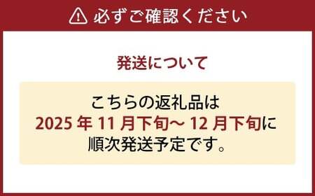 鴨梨（ヤーリー） 2玉 合計約1.5kg 贈答箱 なし 梨 ナシ 果物 フルーツ 果実 岡山県 倉敷市 【2025年11月下旬～12月下旬迄順次発送予定】