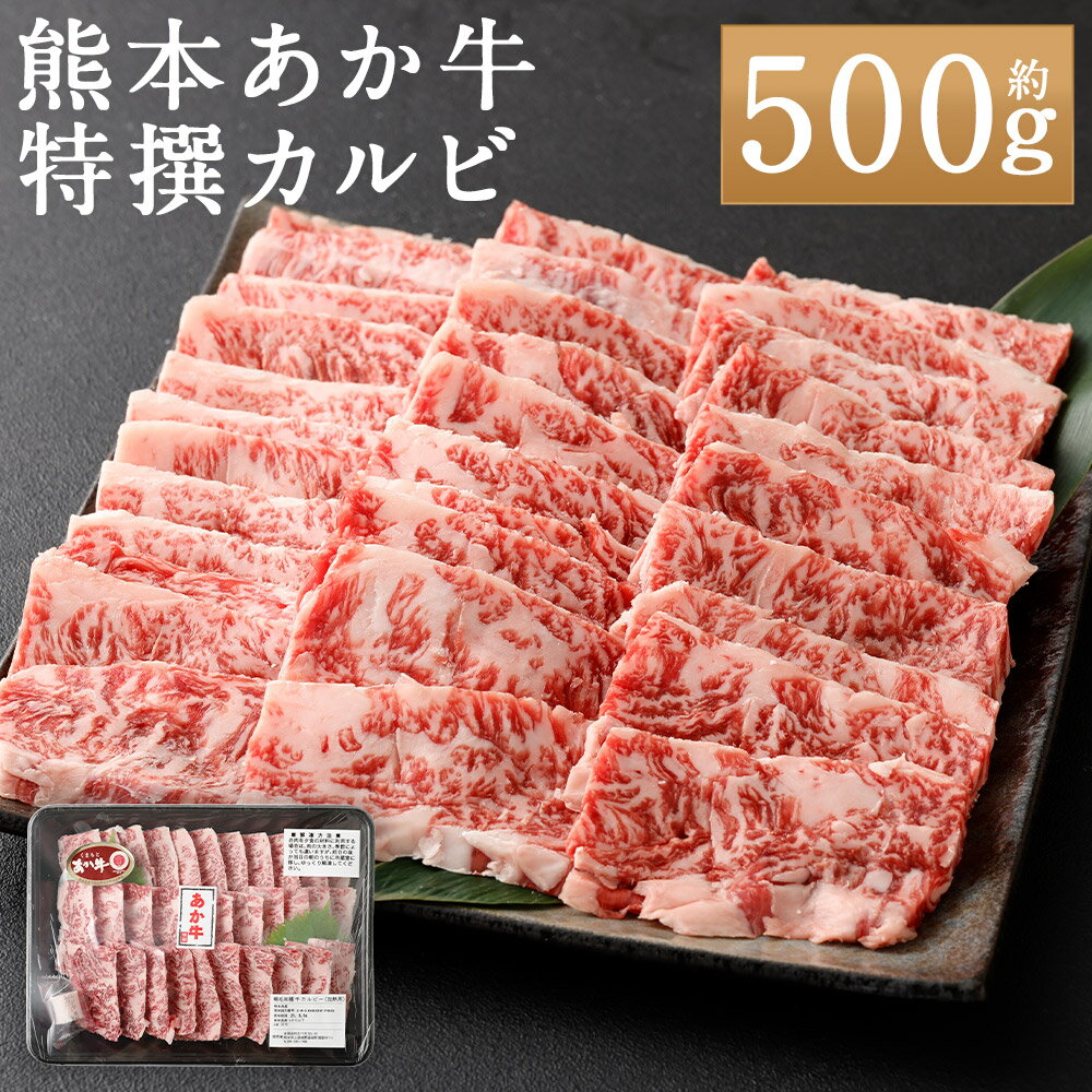 【ふるさと納税】熊本あか牛 特撰カルビ 約500g あか牛 牛肉 お肉 カルビ 焼き肉 焼肉 やきにく BBQ バーベキュー 冷凍 熊本県産 国産 九州 熊本県 人吉市 送料無料