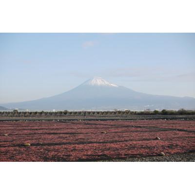 ふるさと納税 静岡市 駿河湾産 桜えび素干し25g×3個(合計75g) |  | 03