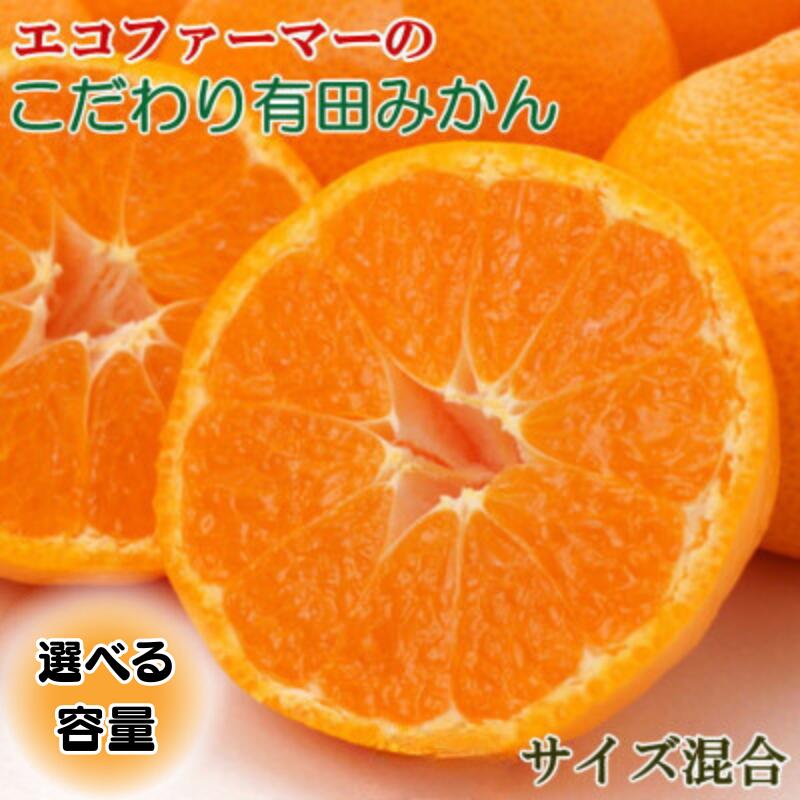 【ふるさと納税】 エコファーマーのこだわり有田みかん約5kg〜約10kg(サイズ混合) ※2025年11月中旬～2026年1月中旬頃順次発送 （お届け日指定不可）