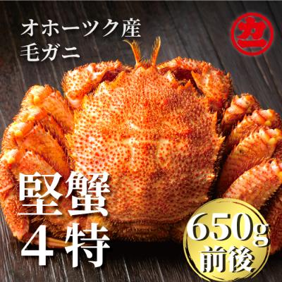 ふるさと納税 紋別市 北海道産ボイル毛がに【四特】 大サイズ1尾入り(1尾約650g前後)