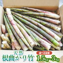 【ふるさと納税】【令和7年産先行予約】天然根曲がり竹 【1.5kg〜3kg】　わかば屋 筍（たけのこ） 2025年