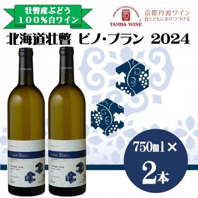 ふるさと納税 壮瞥町 北海道壮瞥産ピノ・ブラン2024(辛口白ワイン) 750ml×2本 SBTA085