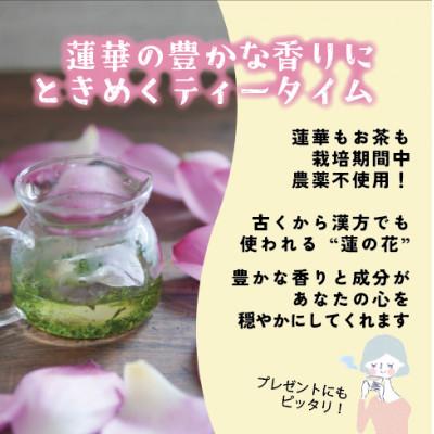 ふるさと納税 山添村 秘境の『蓮かをり茶』(1袋2g入り×5袋×2種類) |  | 01