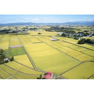 ふるさと納税 川西町 【毎月定期便】雪若丸 無洗米　5kg　全6回 |  | 01