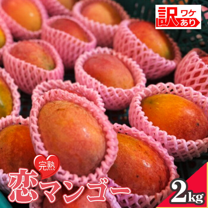【ふるさと納税】No.219 【訳あり】樹上完熟　恋マンゴー約2kg（家庭用化粧箱入） ／ 果物 フルーツ デザート 南国 コク 甘み 規格外 特産品 送料無料 愛知県