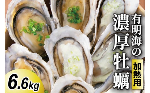 【期間限定発送】瑞穂産牡蠣 6.6kg [諫早湾漁業協同組合 瑞穂支所 長崎県 雲仙市 item2062] 牡蠣 カキ 大粒 加熱用