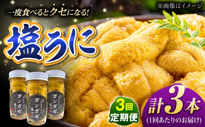 
            【全3回定期便】厄介うに ガンガゼ塩うに 70g×3本 / ウニ 雲丹 五島市 / うた丸 [PGA003]
          
