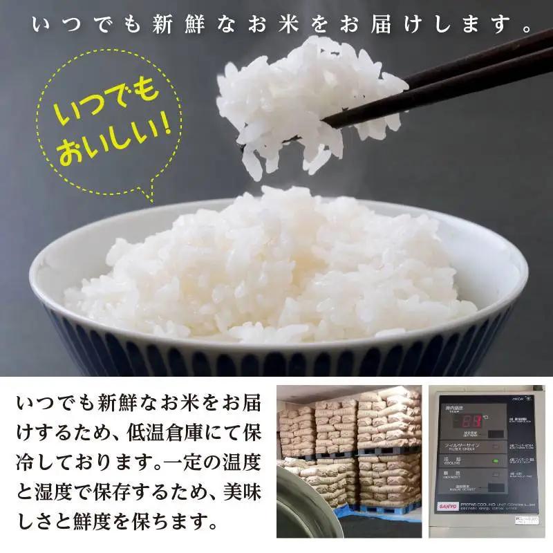 【令和8年産先行予約】【3ヶ月定期便】工藤さんの特別栽培米 雪若丸 無洗米 5kg×3回（計15kg） 山形県鶴岡市　株式会社サンエイファーム　| ゆきわかまる 5キロ 米どころ 庄内米 ブランド米 