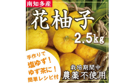 
＜南知多産＞香り豊かな花柚子　2.5kg＜食べきりレシピ付き＞【1365692】
