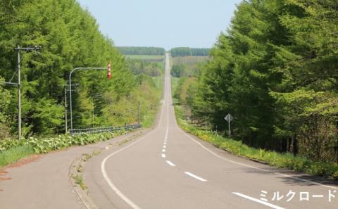 北海道 中標津町 ANAトラベラーズダイナミックパッケージ クーポン3,000点分